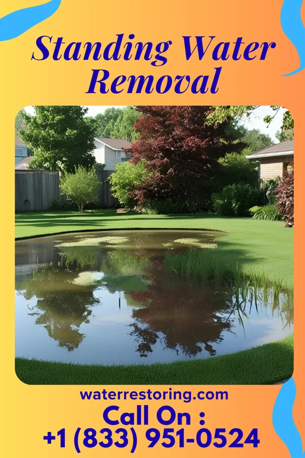 Standing Water Removal in Briarcliff, TX